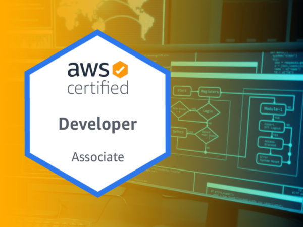 AWS-Developer-Associate-official-exam-study-guides